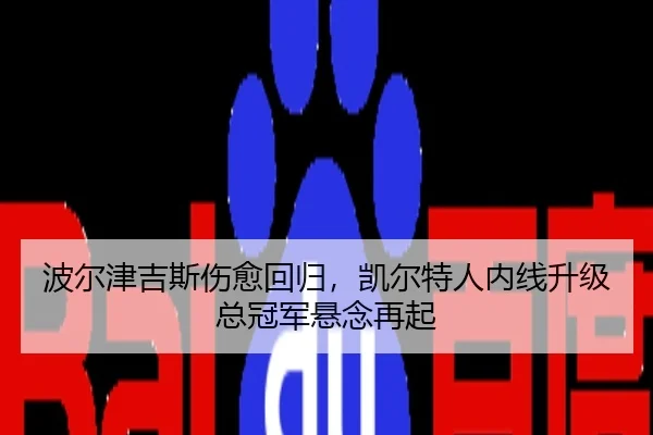 bo-er-jin-ji-si-shang-yu-hui-gui-kai-er-te-ren-nei-xian-sheng-ji-zong-guan-jun-xuan-nian-zai-qi-3-232.jpg