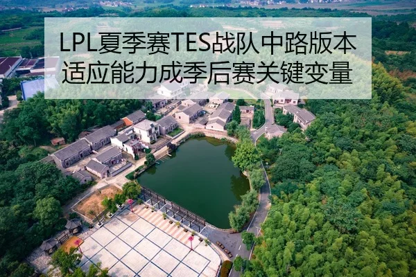 LPL夏季赛TES战队中路版本适应能力成季后赛关键变量