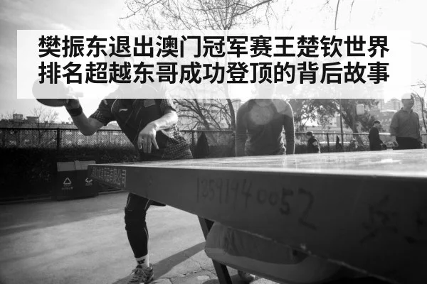 樊振东退出澳门冠军赛王楚钦世界排名超越东哥成功登顶的背后故事