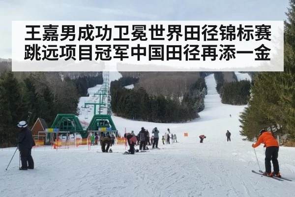 王嘉男成功卫冕世界田径锦标赛跳远项目冠军中国田径再添一金